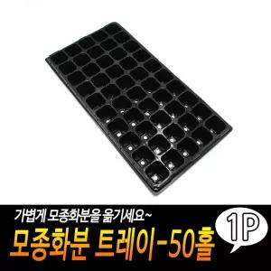 모종화분 트레이-50홀 이색포트 쟁반