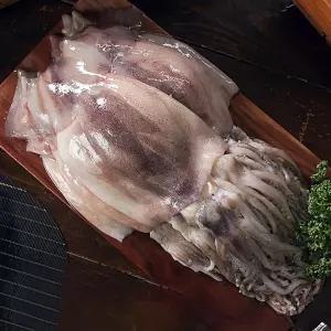 TV홈쇼핑정품 청해대왕 자연산 손질 통오징어 최성만장인 12마리 1.4kg내외