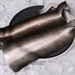 자포니카 민물장어 선물세트 1kg 장어 자포니카장어 자포니카민물장어