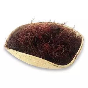 생활 장흥해초류 염장해초 장흥해초 말린 세모가사리 1Kg 해초국수 해초류 수앤서C2