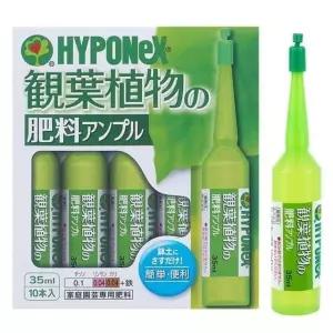 화분 10개입 앰플 하이포넥스 관엽식물 35ml