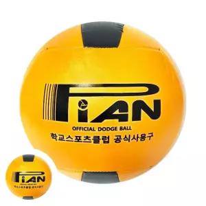 피구공 초등용 협회공인구