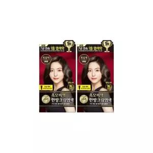 리엔 흑모비책 크림 염색 흑갈색 x 2개
