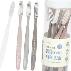커브형 이중미세모 대왕 칫솔 12개입 1P 치아 브러쉬