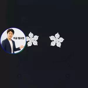 지금 필요한 실버 카시아 귀걸이 미니 꽃이어링