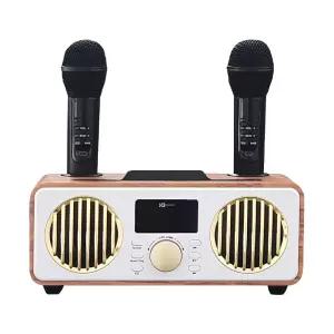 무선 블루투스 노래방 마이크 듀얼 마이크/세트/앰프/스피커/노래/연습/EQ/조절/LED/조명/휴대용/마이크로