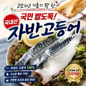 국내산 자반 고등어 6마리 신선도 유지를 위해 드라이아이스 동봉하여 발송