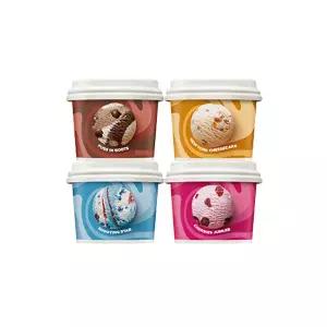 (배스킨라빈스) 블록팩(170ml) 4개 SET