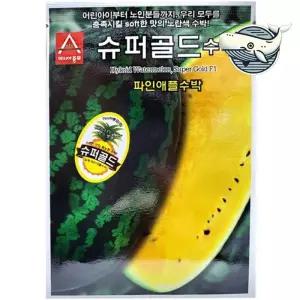 파인애플 수박 씨앗 슈퍼골드 여름 과일 키우기
