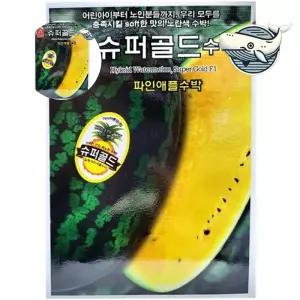 파인애플 씨앗 수박 과일 여름 키우기 슈퍼골드 수박