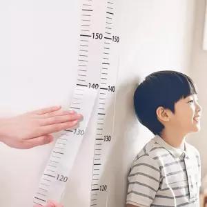 (다올)키재기 스티커 시트지 200cm 눈금자 키측정기