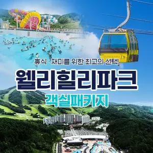 (당일예약불가) 웰리힐리파크 워터파크/야외레포츠PKG (성수기/극성수기) 최대 ~8/22일까지