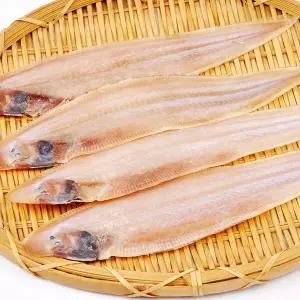[푸르젠]군산가공 반건조 박대 10미 (29cm∼31cm)