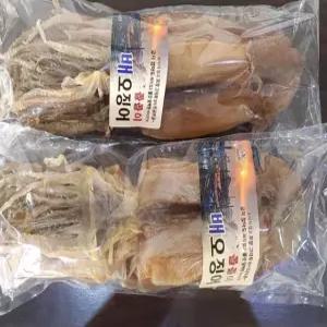 [오땅] 속초 쫄쫄이 배오징어 10마리 500g (안구워도 부드러운 마른오징어)