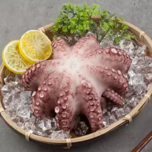 참맛나는 국내산 제수용 활 돌문어 1.5kg (1미)