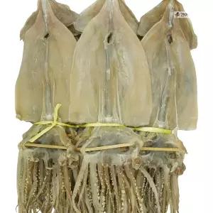 마른오징어 1.1kg(20마리) 건조오징어
