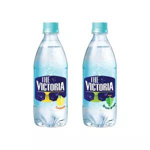 빅토리아 탄산 레몬 청포도 탄산음료 500ml 20개+20개 총2박스