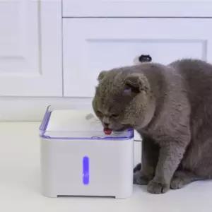 2.0L 사각 펫 강아지물그릇 음수기 자동급수기 고양이