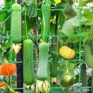 두꺼운 나일론 식물 격자 강한 정원 등반 그물 오이 토마토 포도 액세서리에 대한 헤비 듀티 메쉬