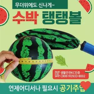 물놀이 비치볼 수박 탱탱볼 컬러 무지 삼색 돼지 공 물놀이용품