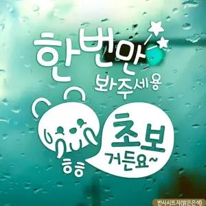 자동차 스티커 한번만봐주 세용 초보곰 운전 반사 차량용 주문 제작 아기 아기가타고있