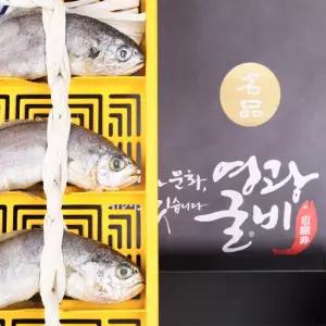 영광굴비 명품오가 1호(10미,21cm내외,1.05kg내외) 선물세트