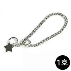 쵸크체인 1호 목걸이 그루머스 강아지 이름표목걸이 인식표 개이름표