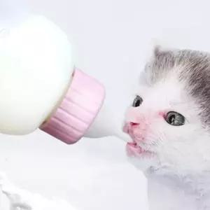 강아지 애기 고양이 우유병 젖병 세트 80-1 80ml 접병
