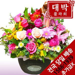 로맨티스트 꽃바구니 생일선물 기념일 출산꽃 전국꽃배달서비스