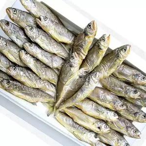 국내산 목포 반건조 참조기 30미 20미 10미