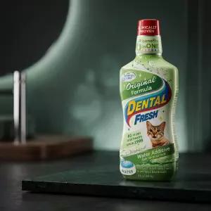 시너지랩덴탈후레쉬캣오리지널236ml/고양이치석예방/고양이구강용품/고양이마시는치약/덴탈프레쉬