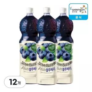 웅진식품 자연은 블루베리 1.5L X 12개