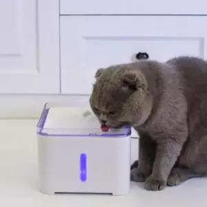 2.0L 사각 펫 강아지물그릇 음수기 자동급수기 고양이