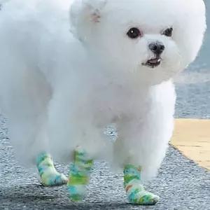 강아지 테이프 신발 4개