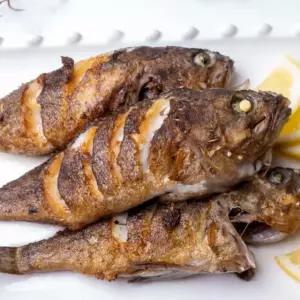 비선상회 남해안 통영 해풍 반건조 우럭 500g 2미 생선구이용 조림용 매운탕
