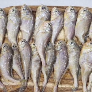 국내산 황석어 깡다리 1kg