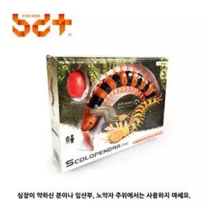 유아 RC 작동완구 무선조정 지네 자동차놀이 아이들선물 창작