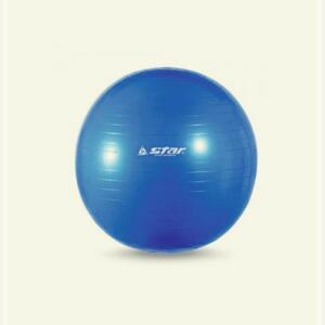 블루 공 테스 킨 펌프 짐볼 용품 요가 관서 55cm 학교 스타