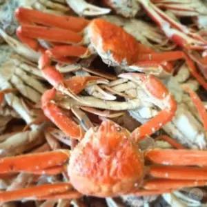 러시아 활 대게 1KG (찜 선택) 다리 배달 러시아활대게