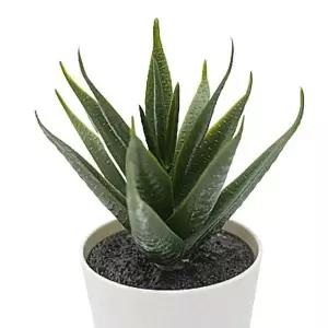 [RIZPICK]인조 다육 식물 화분 6cm 3개