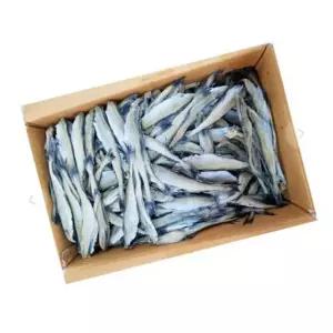 VB 두절 노가리 대용량 10kg 21-23 사이즈 1박스