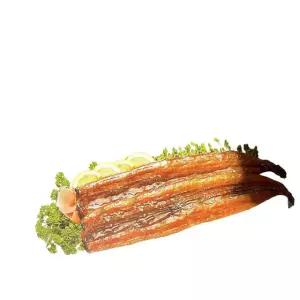 선일 민물 장어 양념 8미 1kg 냉동장어