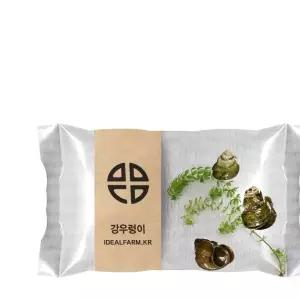 강우렁이 관찰학습 생물관찰 초등과학