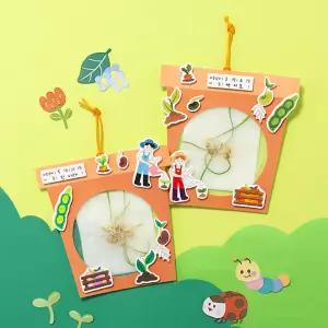 (MH) 뿌리 관찰 식물 키우기 (농부)