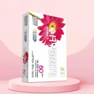복사용지 1박스 2500매 하이브라이트 80g A4