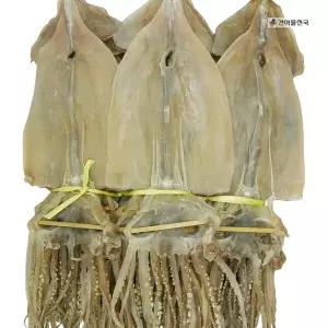 마른오징어 1.5kg(20미) 건조오징어