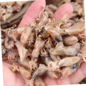 꼴뚜기 VB 마른꼴뚜기 건꼴뚜기 1.5kg 안주 술 오징어 해물 마른 건어