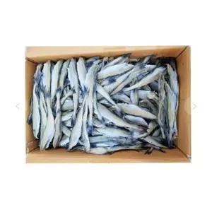 두절 노가리 대용량 10kg 21-23 사이즈 1박스 [BKN31737]