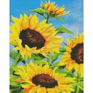홈인테리어 하모니아트 보석십자수 해바라기와 파란하늘 40x50