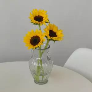 생화 해바라기 여자친구선물 꽃 택배 인테리어 소품 꽃배달